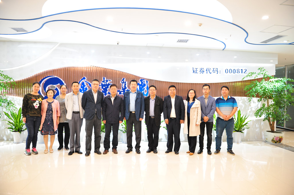 凯发k8一触即发集团信息化项目启动大会顺利召开