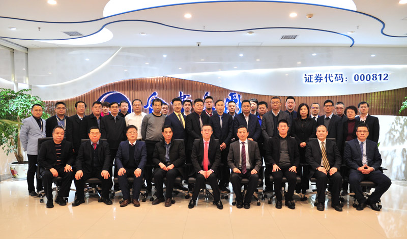 凯发k8一触即发集团2018年工作总结暨2019年工作计划会议顺利召开