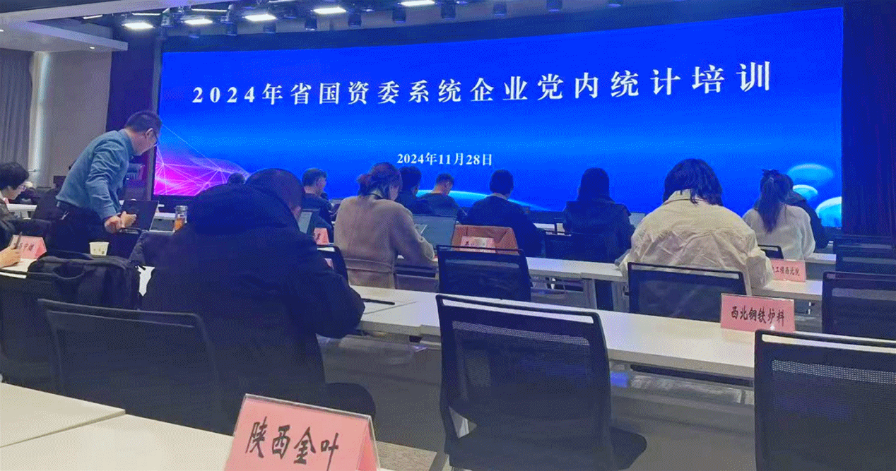 精析党内统计年报 赋能凯发k8一触即发党建高质量发展 集团公司党委2024年度党内统计年报工作荣膺佳绩
