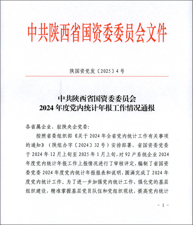 精析党内统计年报 赋能凯发k8一触即发党建高质量发展 集团公司党委2024年度党内统计年报工作荣膺佳绩
